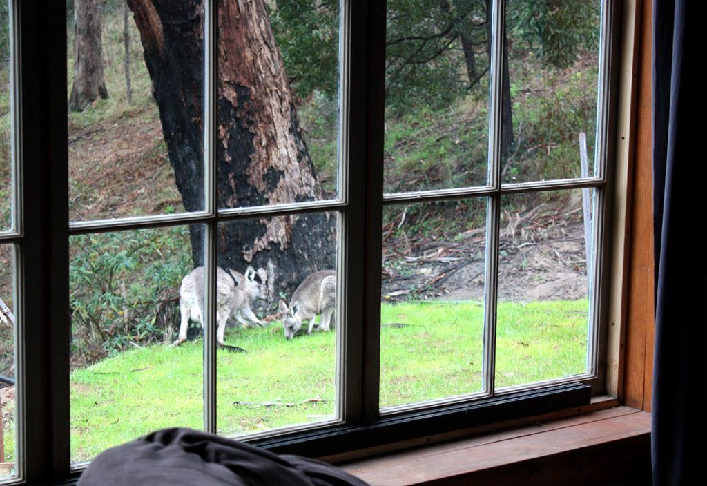 La Boheme Secluded Luxury Spa Villa Daylesford Room photo